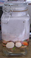 2007030402.jpg