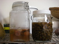 2007031101.jpg