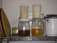 2007031801.jpg