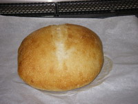 2007031805.jpg