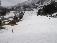 2007032604.jpg