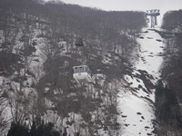 2007032606.jpg