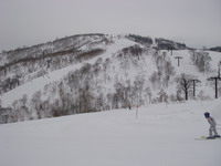 2007032607.jpg