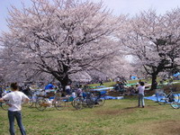2007040101.jpg
