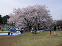 2007040102.jpg