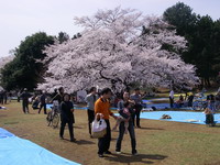 2007040104.jpg