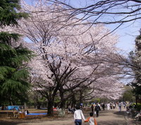 2007040106.jpg