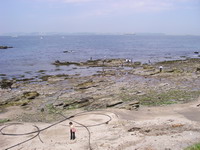 2007050301.jpg