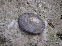 2007050302.jpg