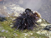 2007050303.jpg