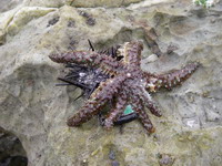2007050304.jpg