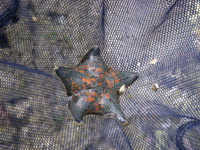 2007050305.jpg