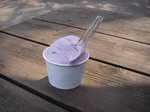 2007050901.jpg