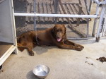 2007050904.jpg