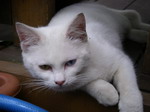 2007050905.jpg