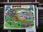 2007050908.jpg