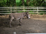 2007050909.jpg