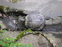2007060201.JPG