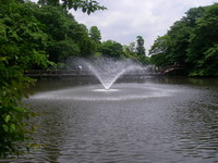 2007060202.JPG