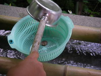 2007060203.JPG