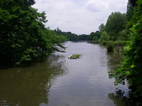 2007060205.JPG