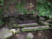 2007060206.JPG
