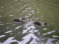 2007060206.JPG
