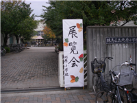 2007111701.jpg