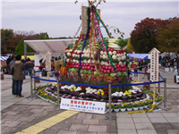 2007111705.jpg