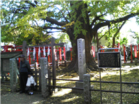 2007112301.jpg