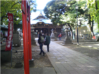 2007112302.jpg