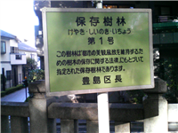 2007112304.jpg