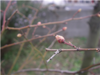 2008030902.jpg