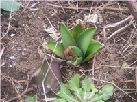 2008030904.jpg