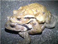 2008031105.jpg