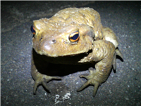 2008031201.jpg