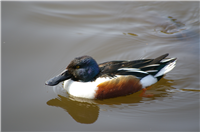 2008032204.jpg