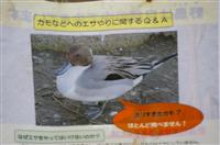 2008032303.jpg