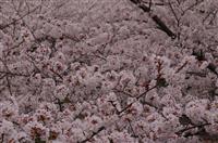 2008033000.jpg