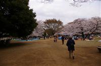 2008033004.jpg