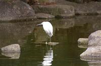 2008033005.jpg