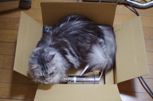 交換したらダメにゃ
