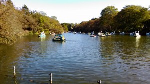 井之頭公園